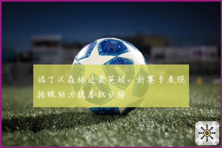 诺丁汉森林逆袭英超，新赛季表现抢眼助力稳居积分榜