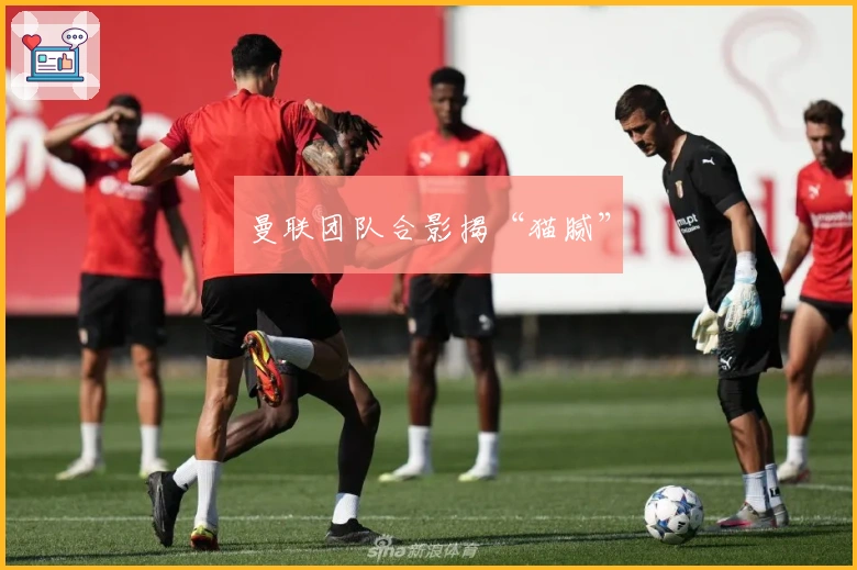 曼联团队合影揭“猫腻”